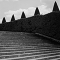 Photo des jardins de Versailles