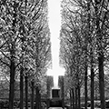 Photo des jardins de Versailles